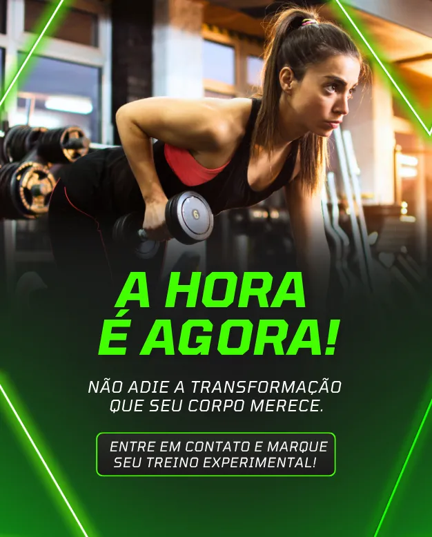 Criação 2